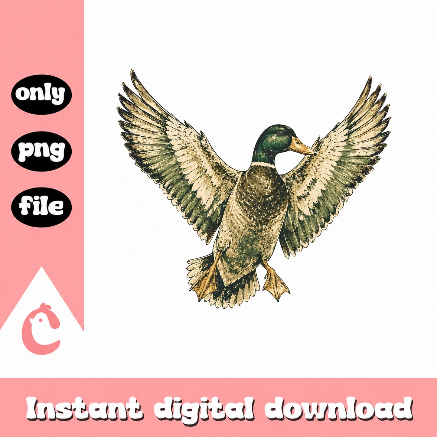 Duck Clipart PNG, Mallard Duck Illustration, Wildlife PNG
