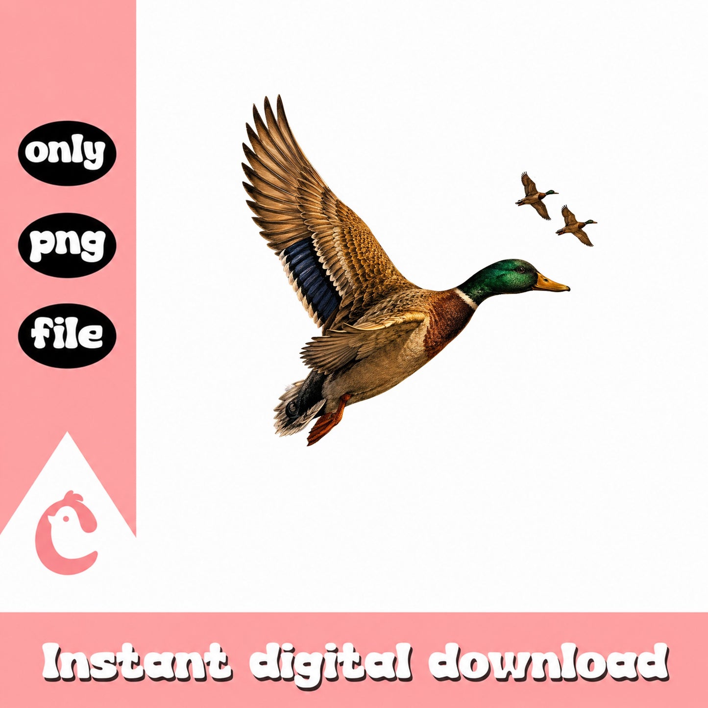Duck Hunting Clipart PNG, Mallard Duck Flying, Instant Download PNG