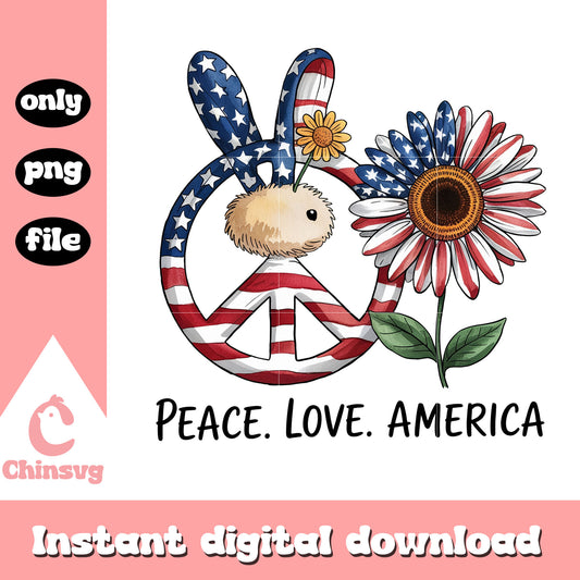 4th of july peace love america design png, the 4th of july png