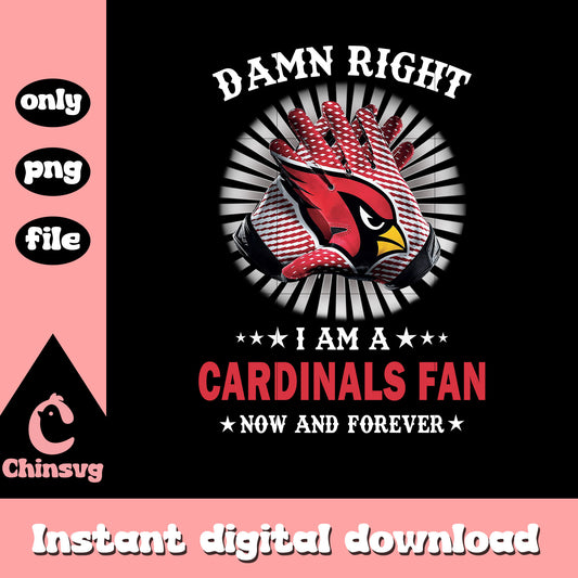 Arizona cardinals hand art png, arizona cardinals football​ png