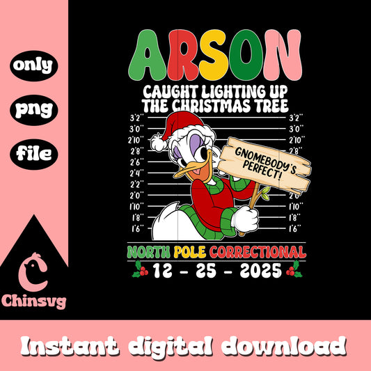 Arson daisy matching shirt png, disney christmas shirts​ png