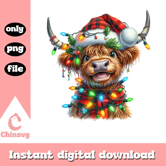 Baby highland cow christmas lights png, highland cow christmas​ png