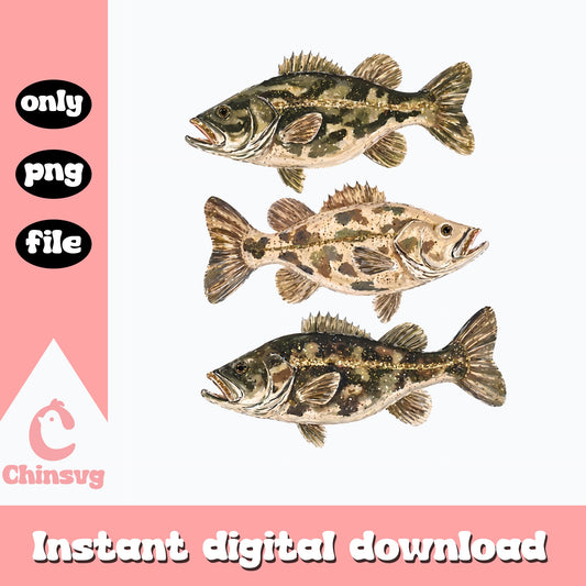 Bass Fish Clipart PNG Bundle, Fishing Sublimation, PNG Files