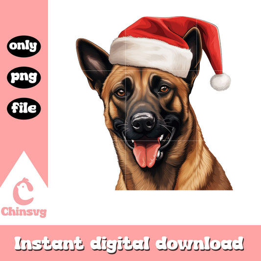 Belgian malinois dog face santa hat design png, christmas dog png​