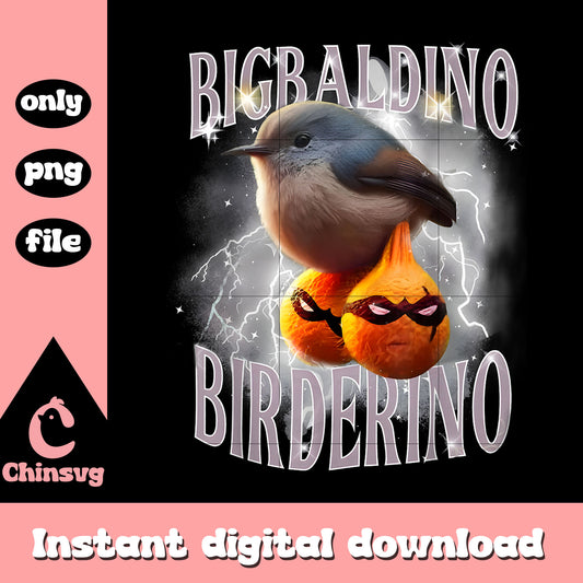 Bigbaldino birderino funny png, italian brainrot meme png