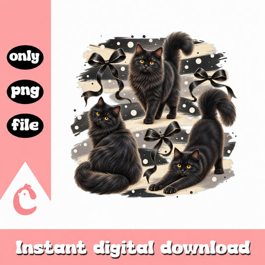 Black Cat PNG Bundle, Fluffy Cat Clipart, Instant Download PNG