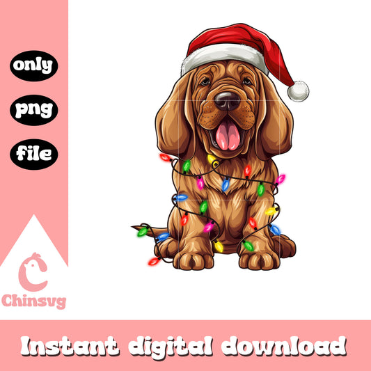 Bloodhound dog santa hat christmas lights png, Bloodhound dog png