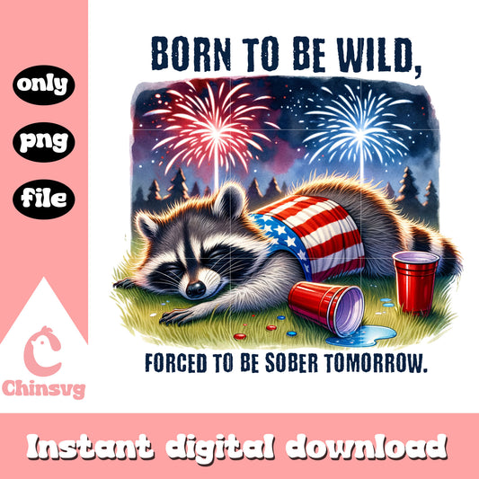 Born to be wild raccoon quotes png, raccoon quotes​ png 