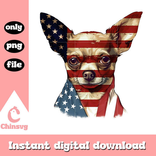 Chihuahua america flag png, cute chihuahua 4th of july png