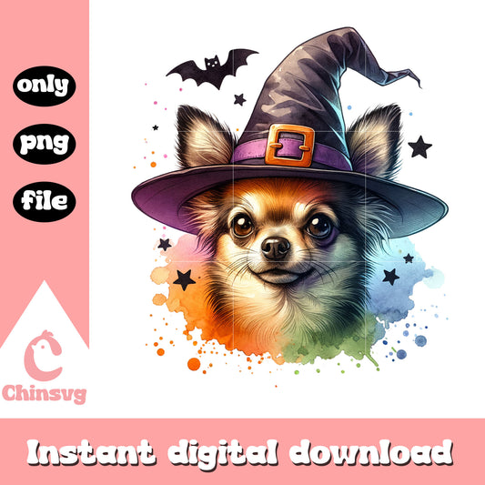Chihuahua in witch hat design png, face chihuahua​ png, dog witch hat​ png