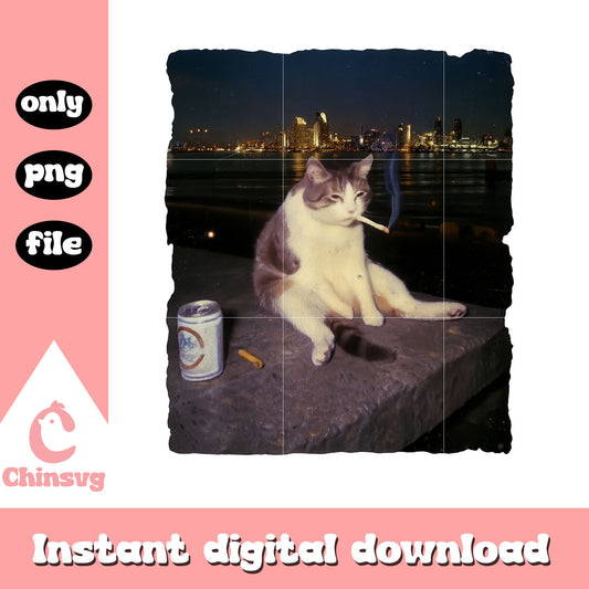 Cigarette kitten funny smoking cat meme png, funny cat png