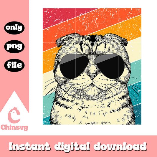Cool cat and glasses png, cute cat photos png, cool png