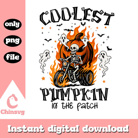 Coolest pumpkin in the patch design png, skeleton halloween png