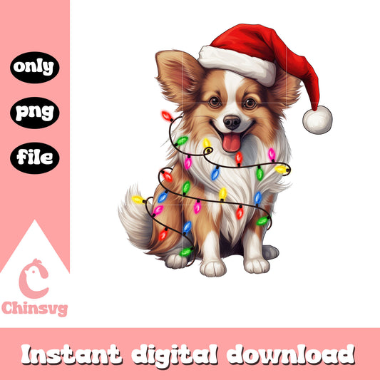 Corgi dog santa hat christmas lights png, corgie dog​ png