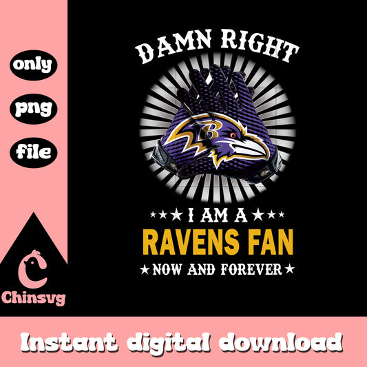 Damn right ravens purple png, baltimore ravens team​​ png