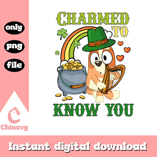 Dicharmed to know you png, bingo character png, patrick day png