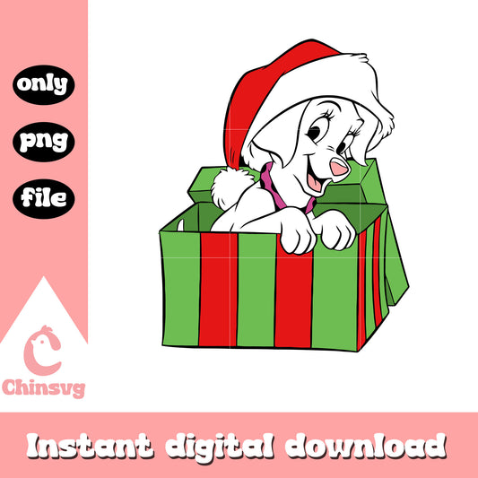 Disney dalmatians in christmas present png, 101 dalmatians christmas​ png