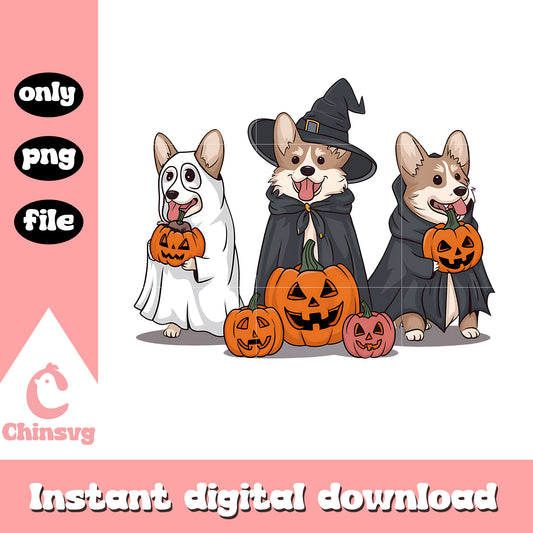 Dogs witch clothes with pumpkins design png, halloween day png