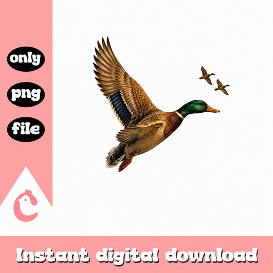 Duck Hunting Clipart PNG, Mallard Duck Flying, Instant Download PNG