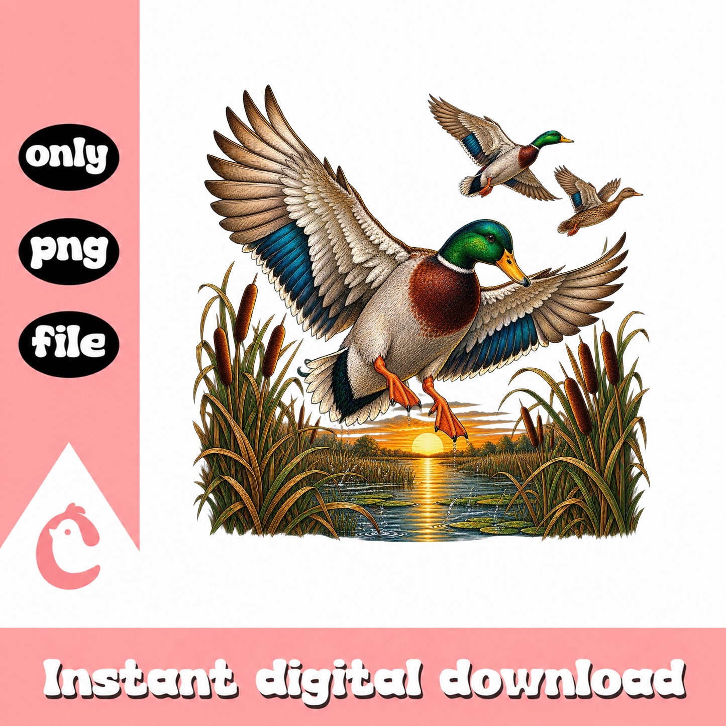 Duck Hunting PNG Bundle, Mallard Duck Clipart, Wildlife PNG