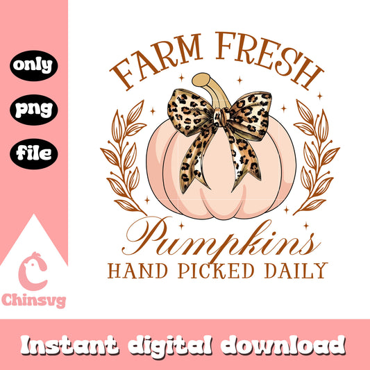 Farm fresh pumpkins hand picked daily png, farm fresh png