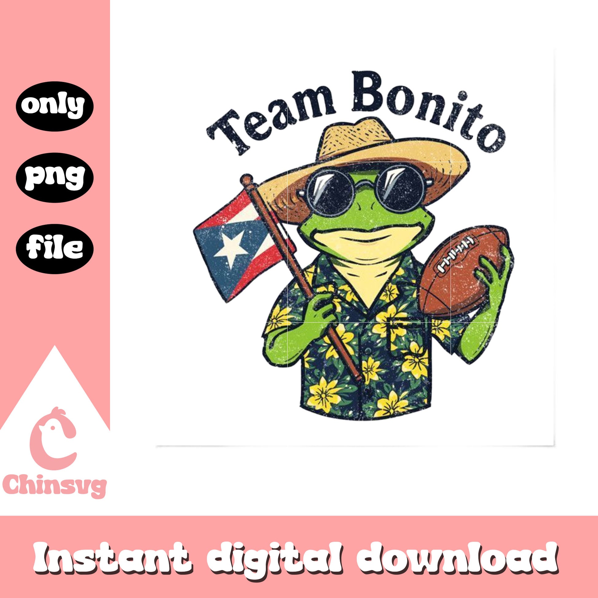 Frog bonito cartoon vintage png