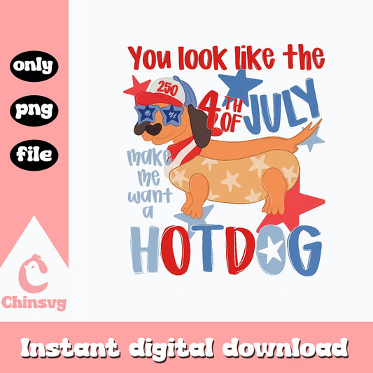 Funny Dachshund 4th Of July PNG, Hot Dog PNG, Patriotic Dog PNG
