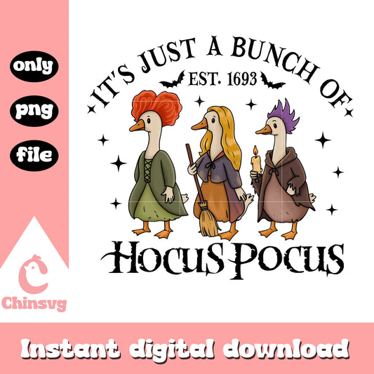 Goose It just a bunch of hocus pocus png, Goose witch hocus pocus png