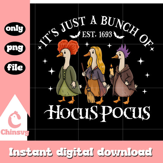 Goose witch It just a bunch of est 1693 png, hocus pocus witches png