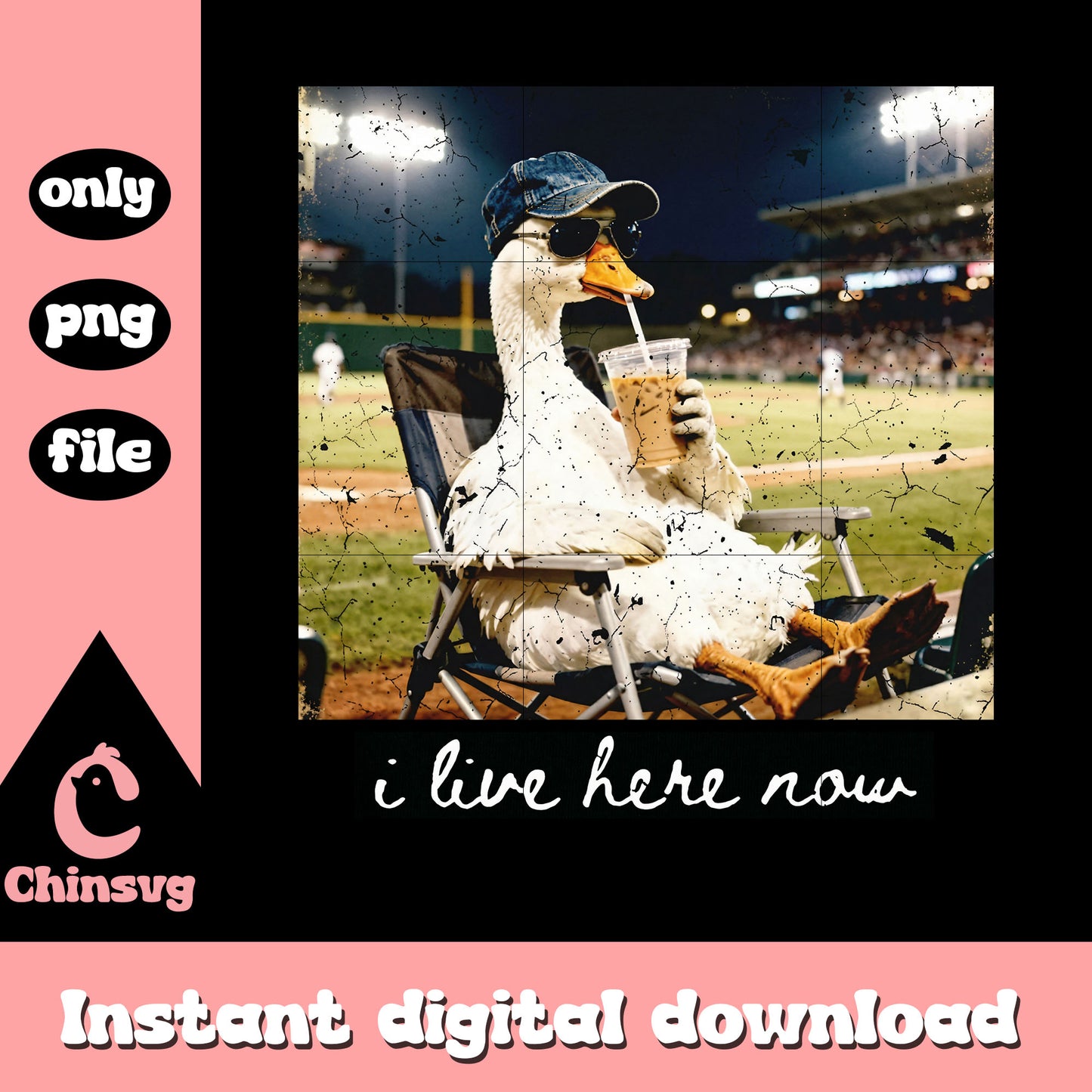 I live here now goose ballfield png, silly goose funny png, baseball png