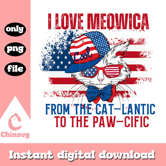 I love meowica from the cat lantic png, cool cat usa png