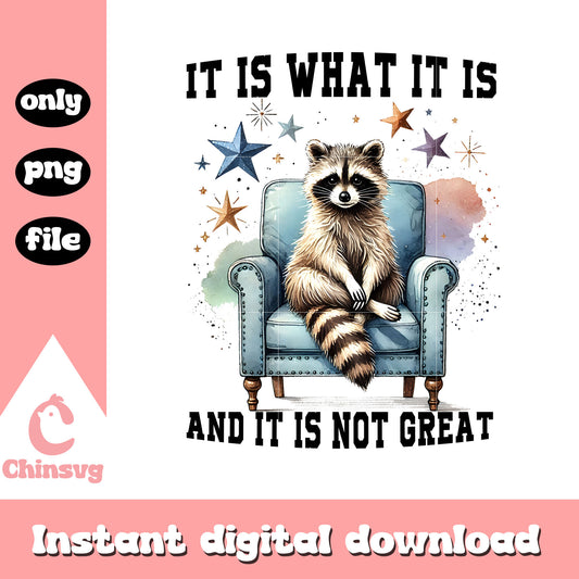 It is what it is and it is not great quote png, raccoon art png