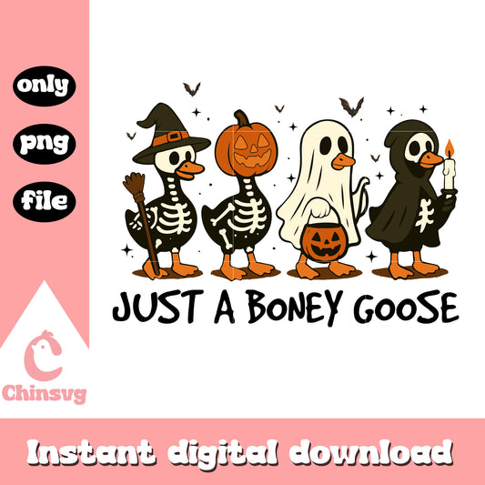 Just a boney goose halloween costume png, goose spooky png