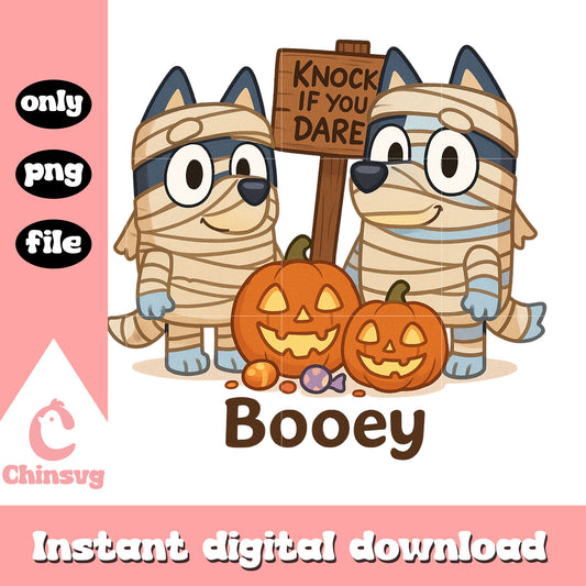 Knock if you dare booey mummy design png, halloween mummy png 