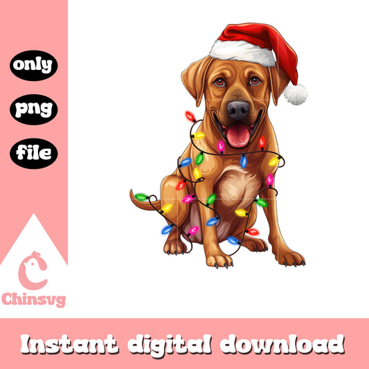 Labrador dog santa hat christmas lights png, labrador dog​ png