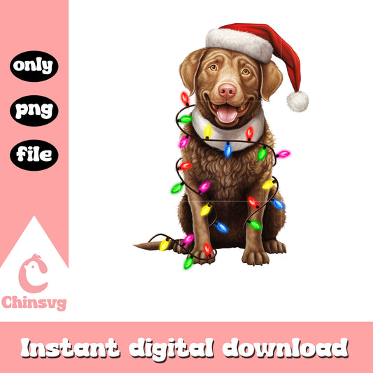 Labrador retriever santa hat christmas lights png, Labrador dog png