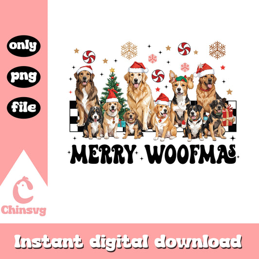 Merry woofmas design png, christmas dog png, dogs in christmas​ png