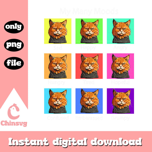 My many mood orange cat emotions png, cats png, emotions png