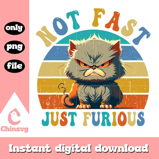 Not fat just furious png, cute cat png, fast and furious png