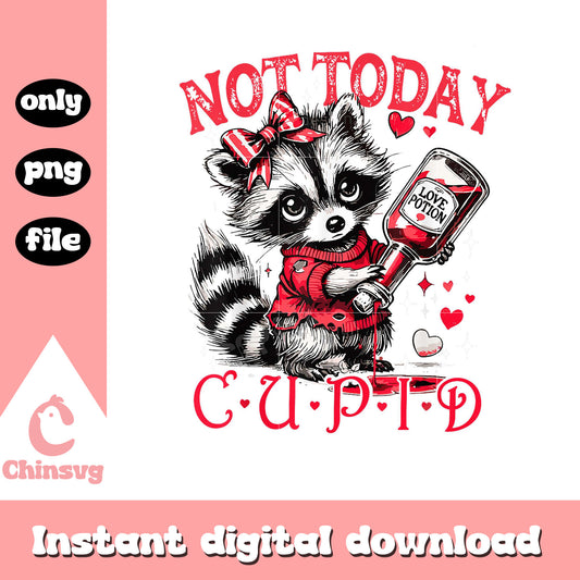 Not today cupid png, funny raccoon png, valentines day raccoon png