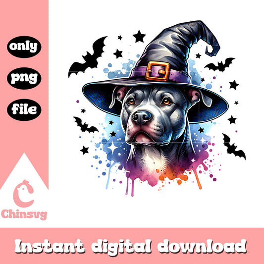 Pitbull on witch hat design png, halloween costumes png