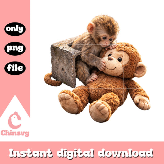 Punch monkey with friend cozy png, baby monkey png, monkey punch hazard​ png