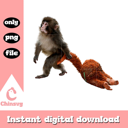 Punch monkey with friend png, monkey punch​ png, team punch png