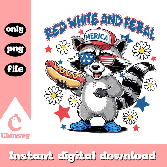 Raccoon happy red white and feral png, Raccoon merica png
