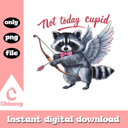 Raccoon not today cupid png, valentine cupid png, funny raccoon png