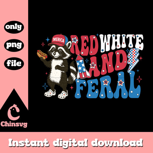 Raccoon red and feral hotdog png, Raccoon 4th of july png