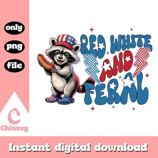 Red and feral raccoon hot dog png, raccoon usa hot dog png