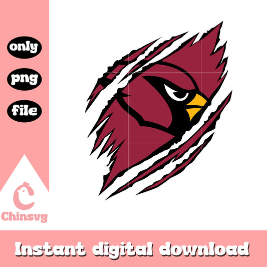 Scratch cardinals design logo png, arizona cardinals nfl​​ png
