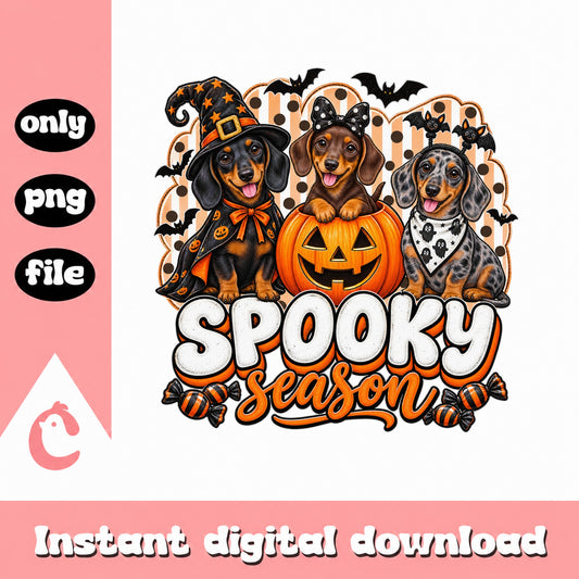 Spooky Season Dachshund PNG, Halloween Dog Clipart, Pumpkin PNG