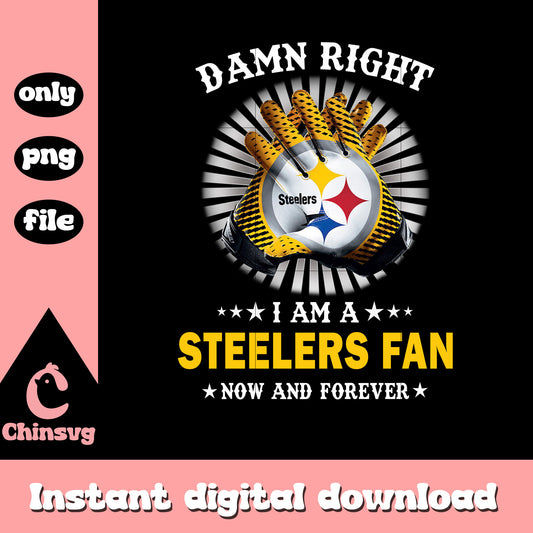 Steelers hant custom images png, nfl pittsburgh steelers​​ png